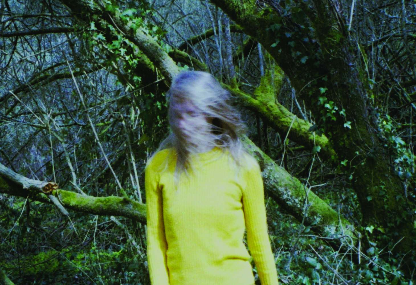 Op avontuur met Circuit X